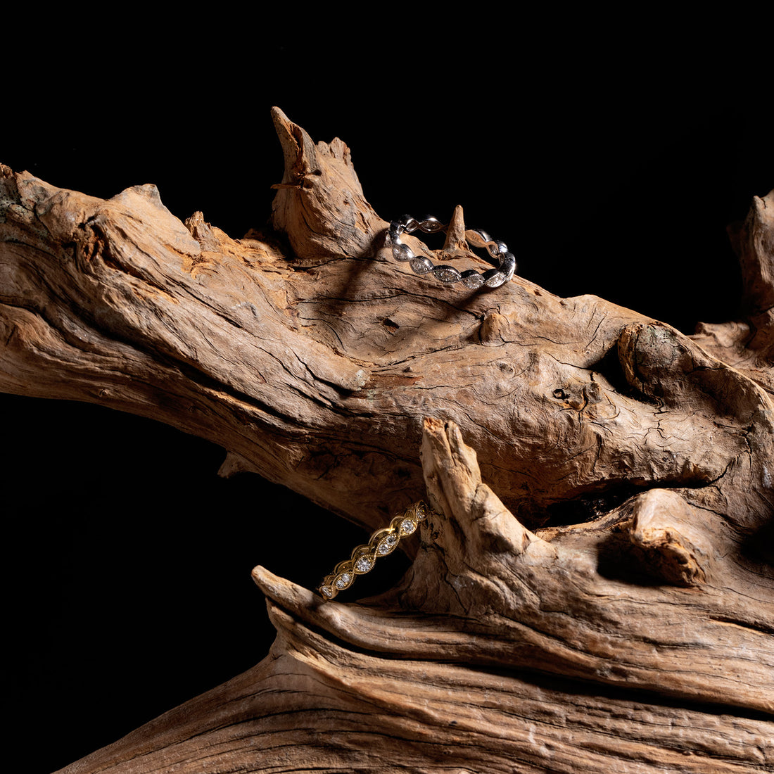 Two ILA SODHANI Lincoln Rings in gold with natural diamonds are perched on a piece of drift wood; the white gold right is hanging from a small branch near the top, and the yellow gold is balanced against two small branches on the bottom.